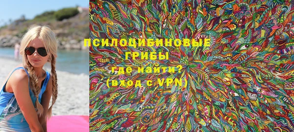 эйфоретик Аркадак
