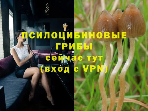 трава Арсеньев