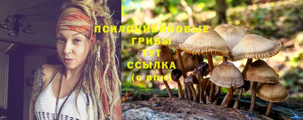 эйфоретик Аркадак