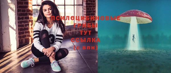 эйфоретик Аркадак